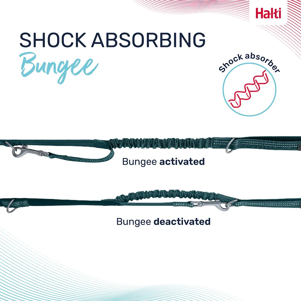 Halti Anatomy Multi Dog Lead Teal - Image 5