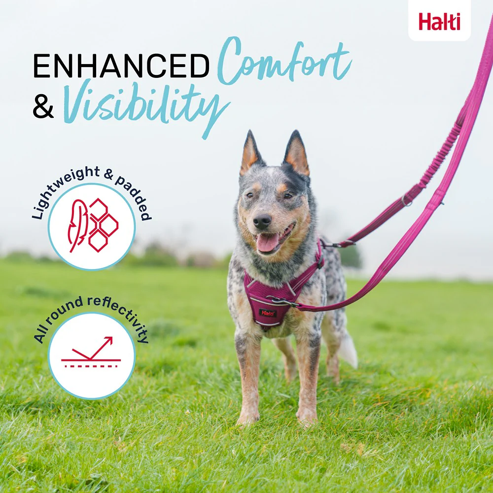 Halti Anatomy Multi Dog Lead Teal - Image 7