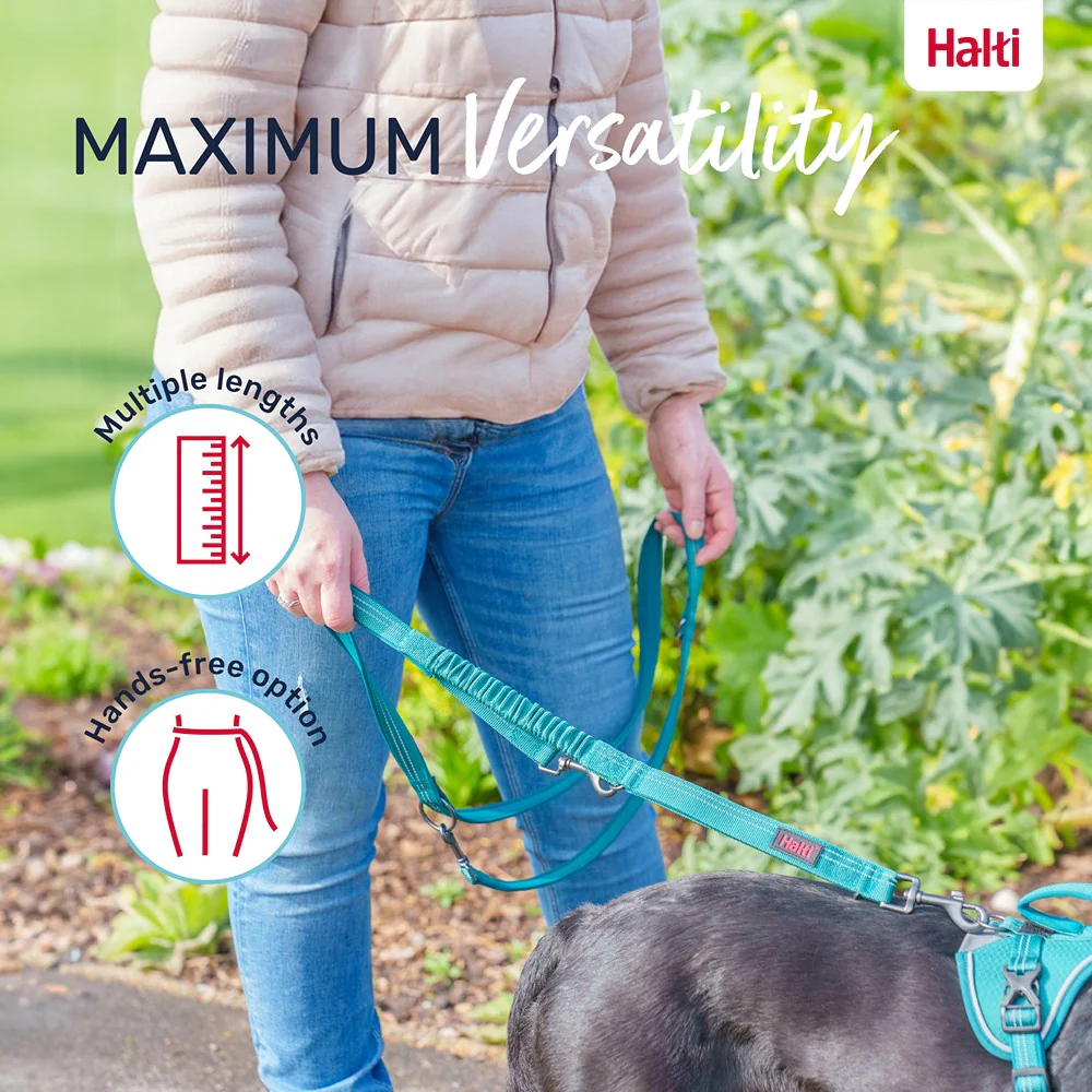 Halti Anatomy Multi Dog Lead Teal - Image 8