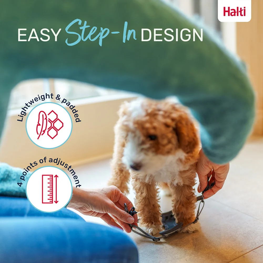 Halti Anatomy Puppy Dog Harness Grey - Image 11