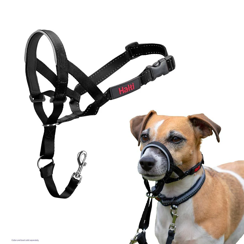 Halti Dog Headcollar - Image 5