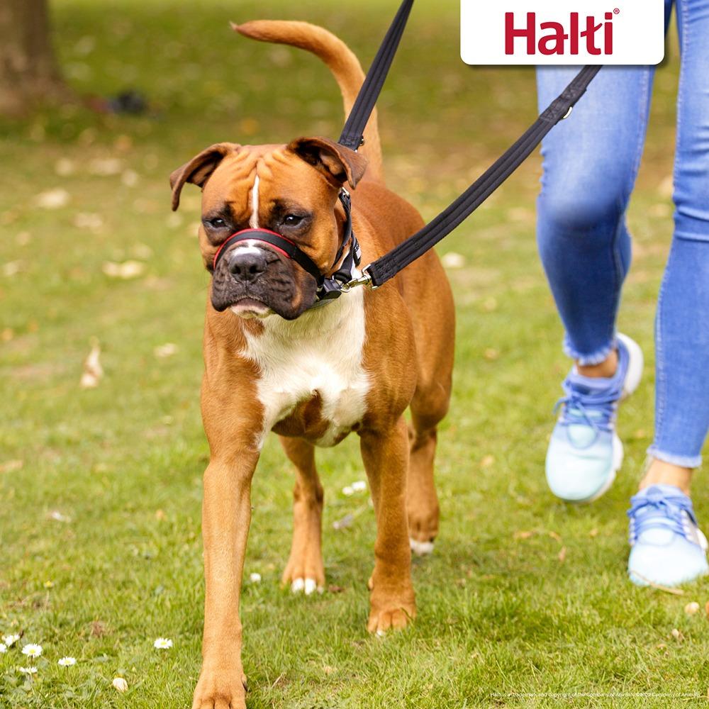Halti Optifit Dog Headcollar - Image 15