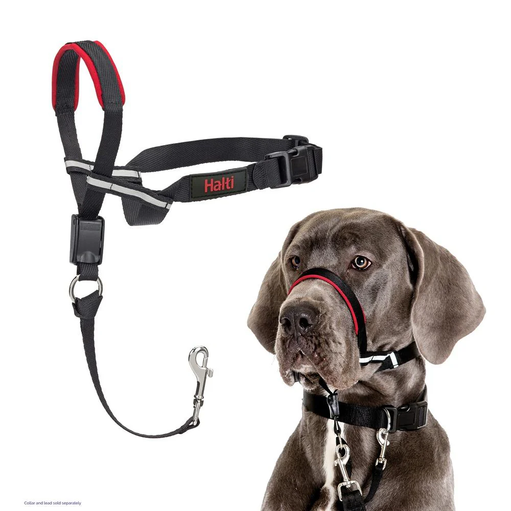 Halti Optifit Dog Headcollar - Image 4