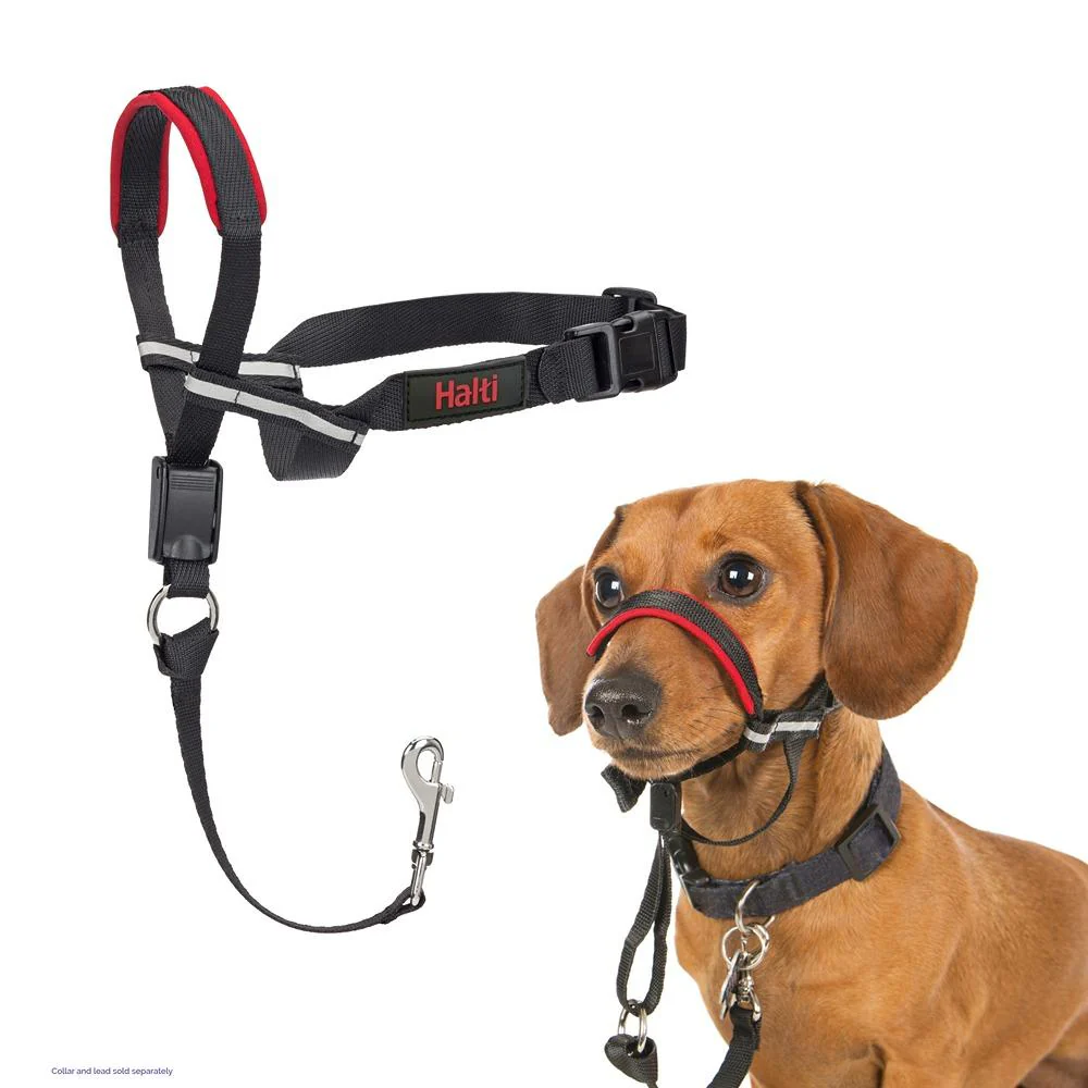 Halti Optifit Dog Headcollar - Image 5
