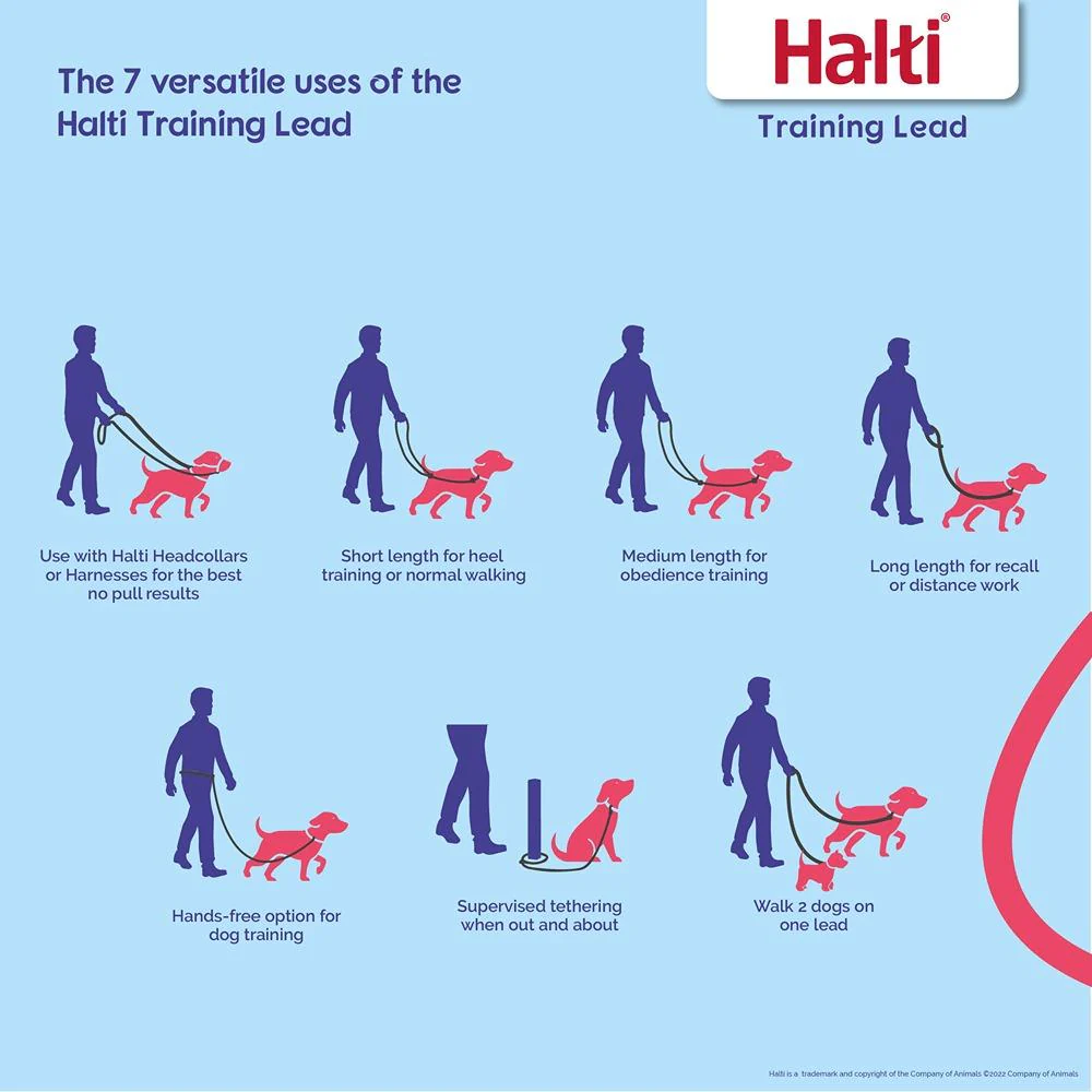 Halti Training Dog Lead Black - Image 3