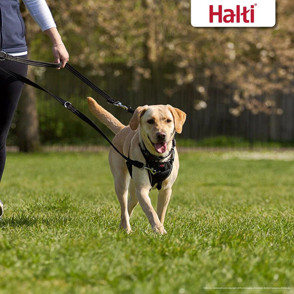 Halti Training Dog Lead Black - Image 5