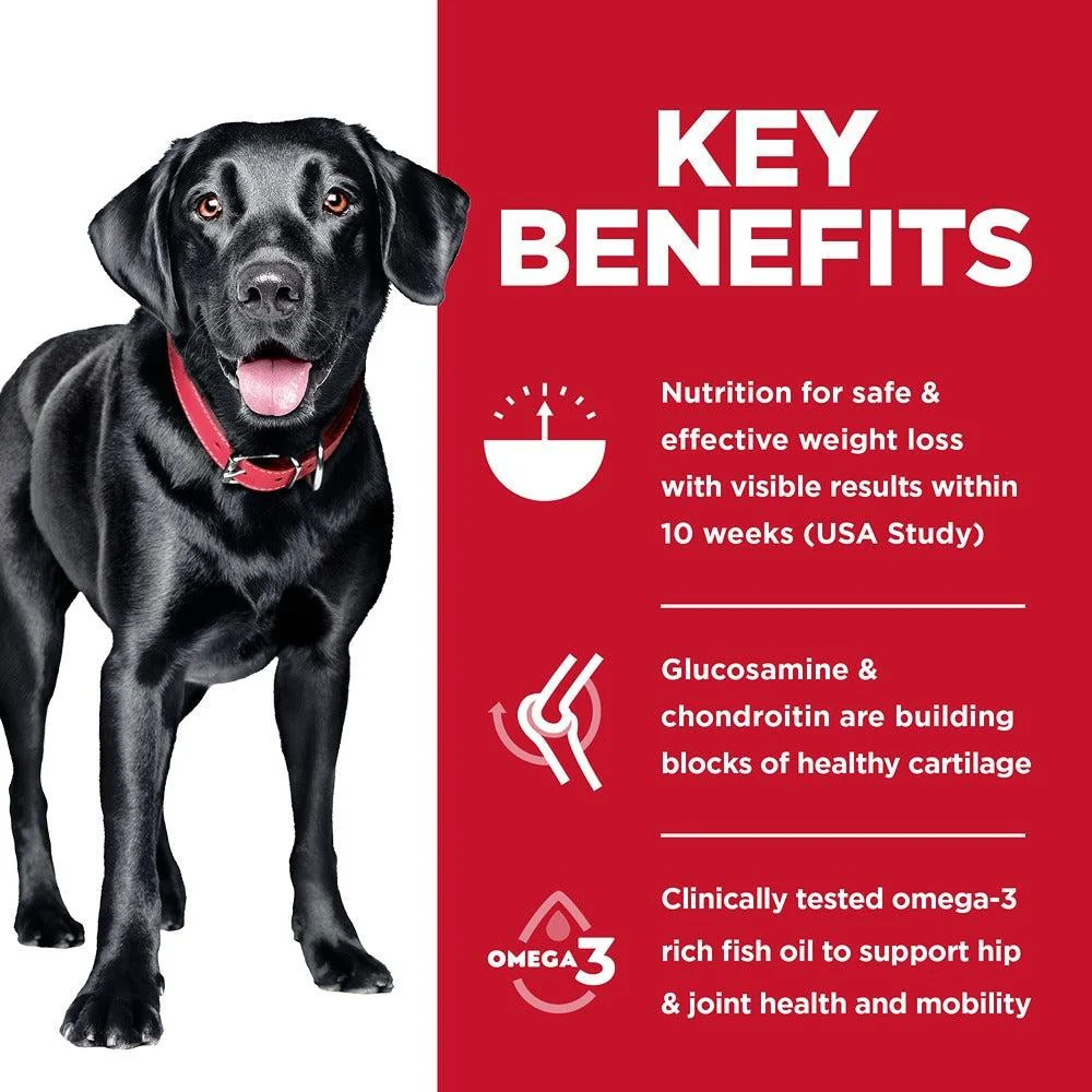 Hill's Science Diet Adult Perfect Weight + Joint Support Large Breed Dry Dog Food 11.34kg - Image 4