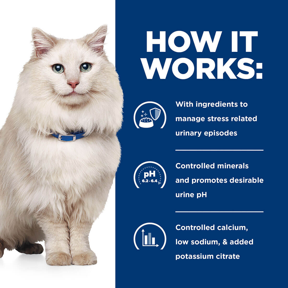 Hill's Prescription Diet C/D Stress Urinary Care Dry Cat Food - Image 25