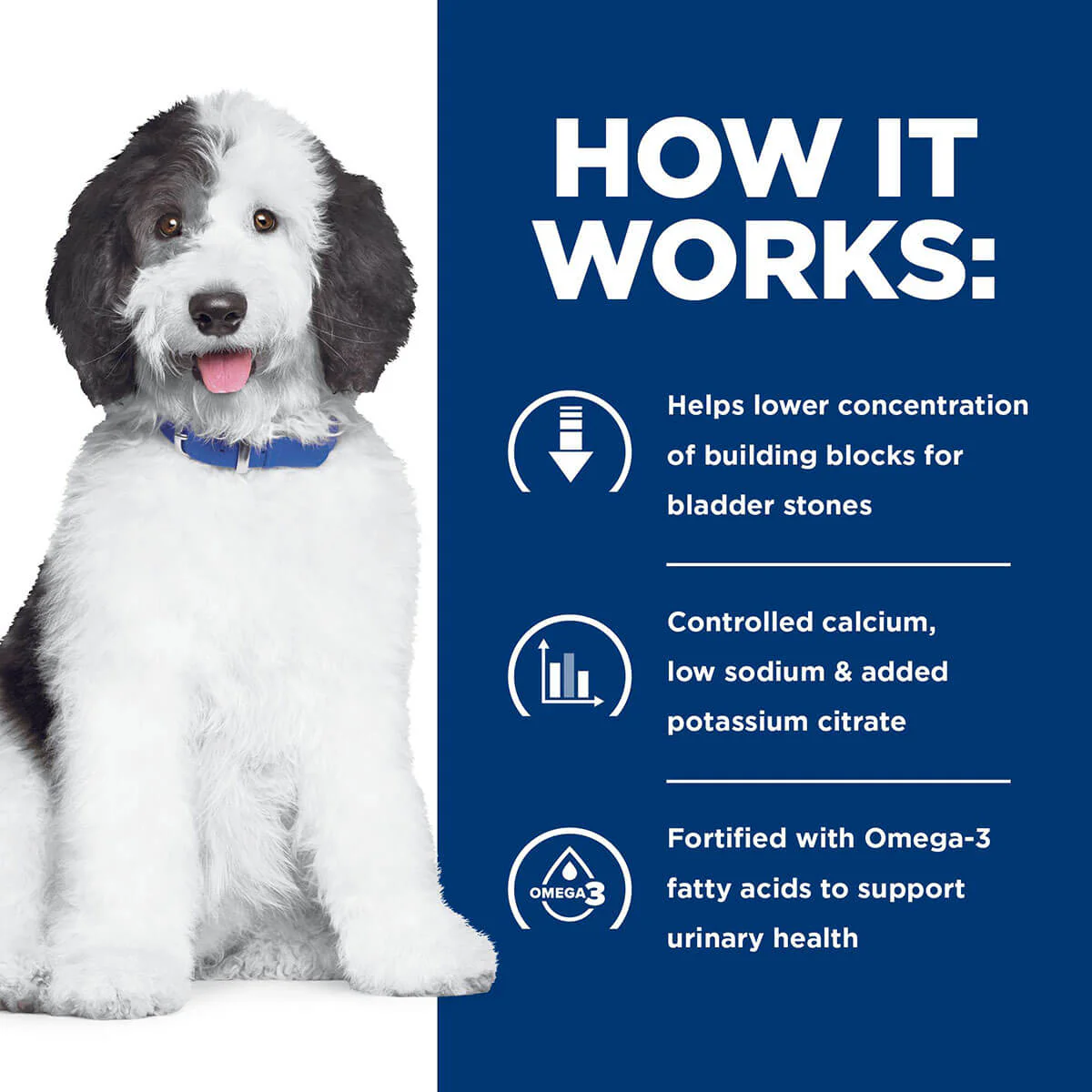 Hill's Prescription Diet C/D Urinary Care Dry Dog Food - Image 18