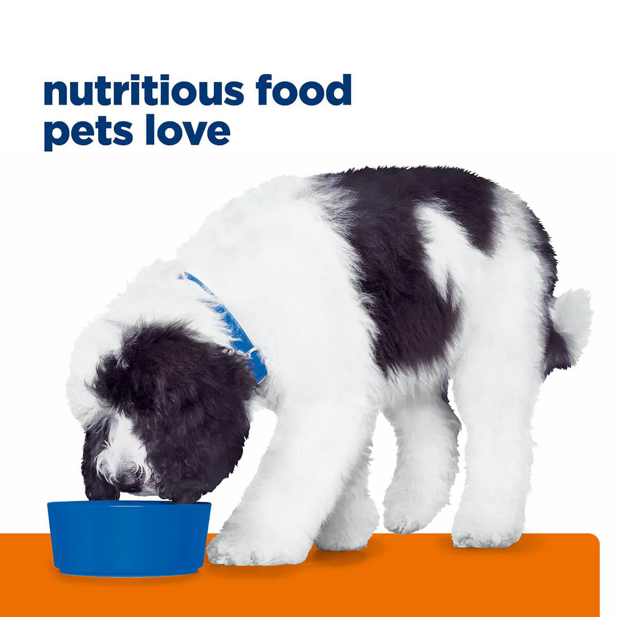 Hill's Prescription Diet C/D Urinary Care Dry Dog Food - Image 41
