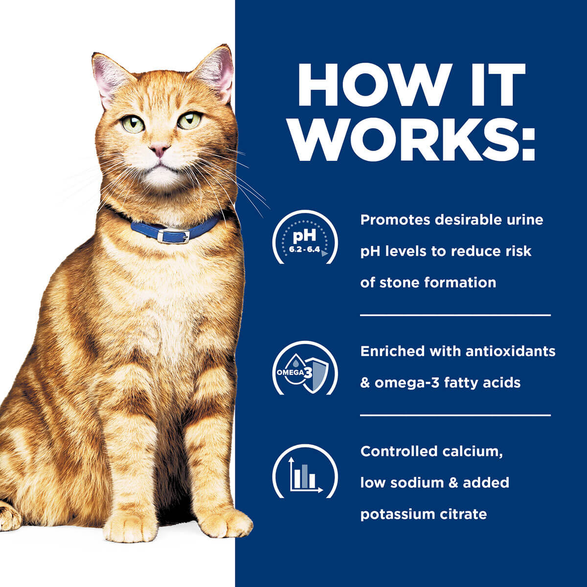 Hill's Prescription Diet C/D Urinary Care Chicken Wet Cat Food - Image 11