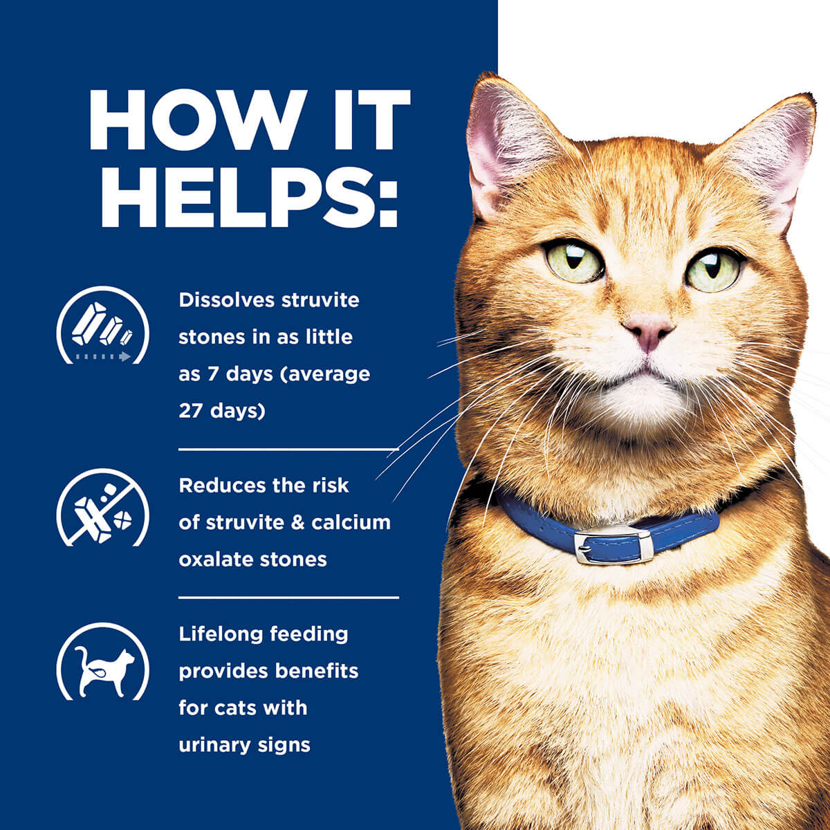 Hill's Prescription Diet C/D Urinary Care Chicken Wet Cat Food - Image 13