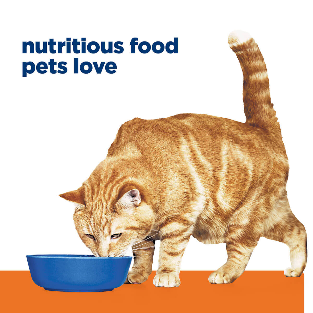 Hill's Prescription Diet C/D Urinary Care Chicken Wet Cat Food - Image 27