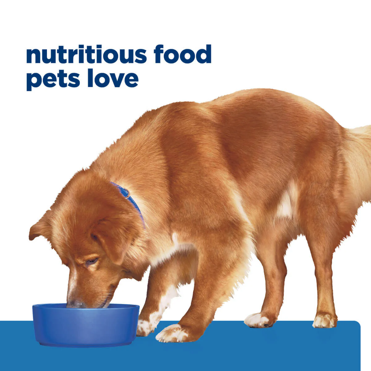 Hill's Prescription Diet Sensitive Derm Complete Dry Dog Food - Image 15