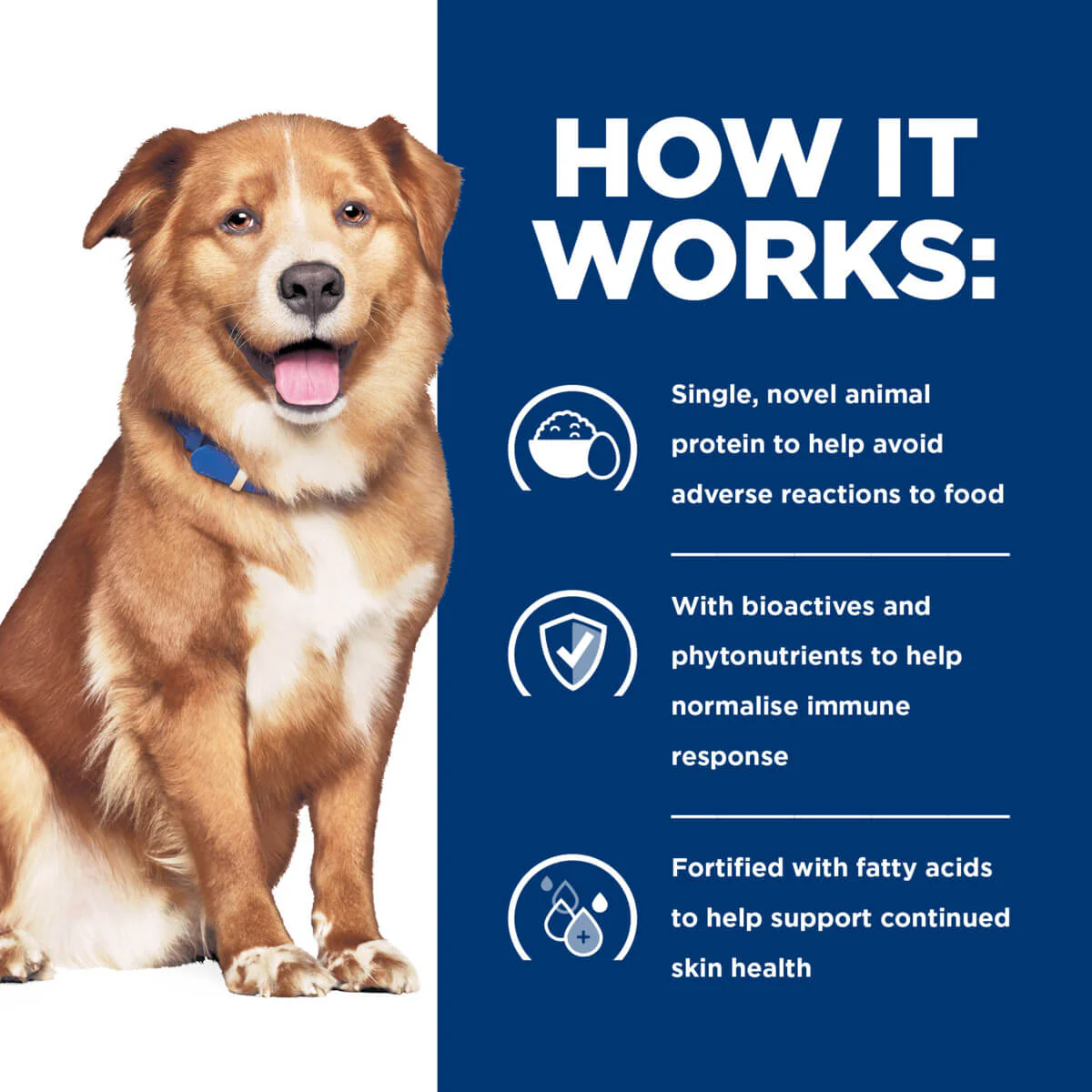 Hill's Prescription Diet Sensitive Derm Complete Dry Dog Food - Image 6