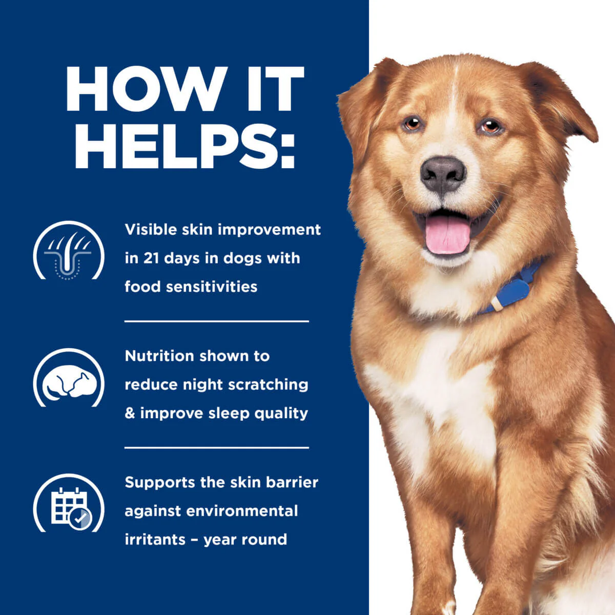 Hill's Prescription Diet Sensitive Derm Complete Dry Dog Food - Image 7