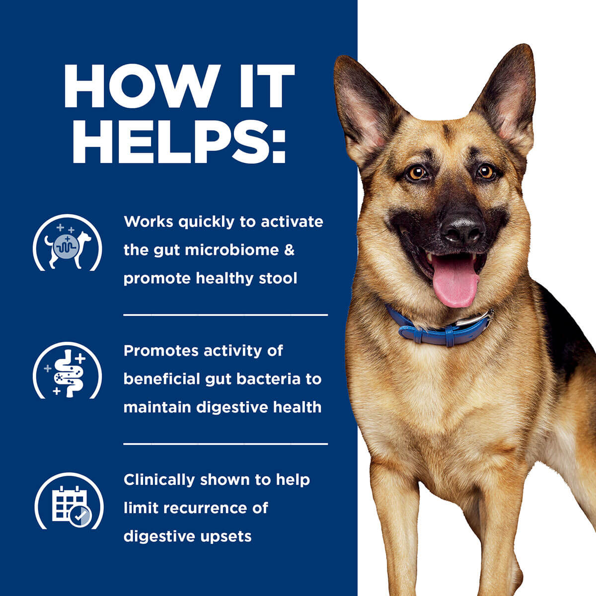 Hill's Prescription Diet Gastrointestinal Biome Care Dry Dog Food - Image 15