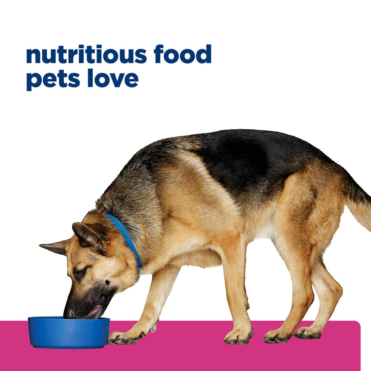 Hill's Prescription Diet Gastrointestinal Biome Care Dry Dog Food - Image 36