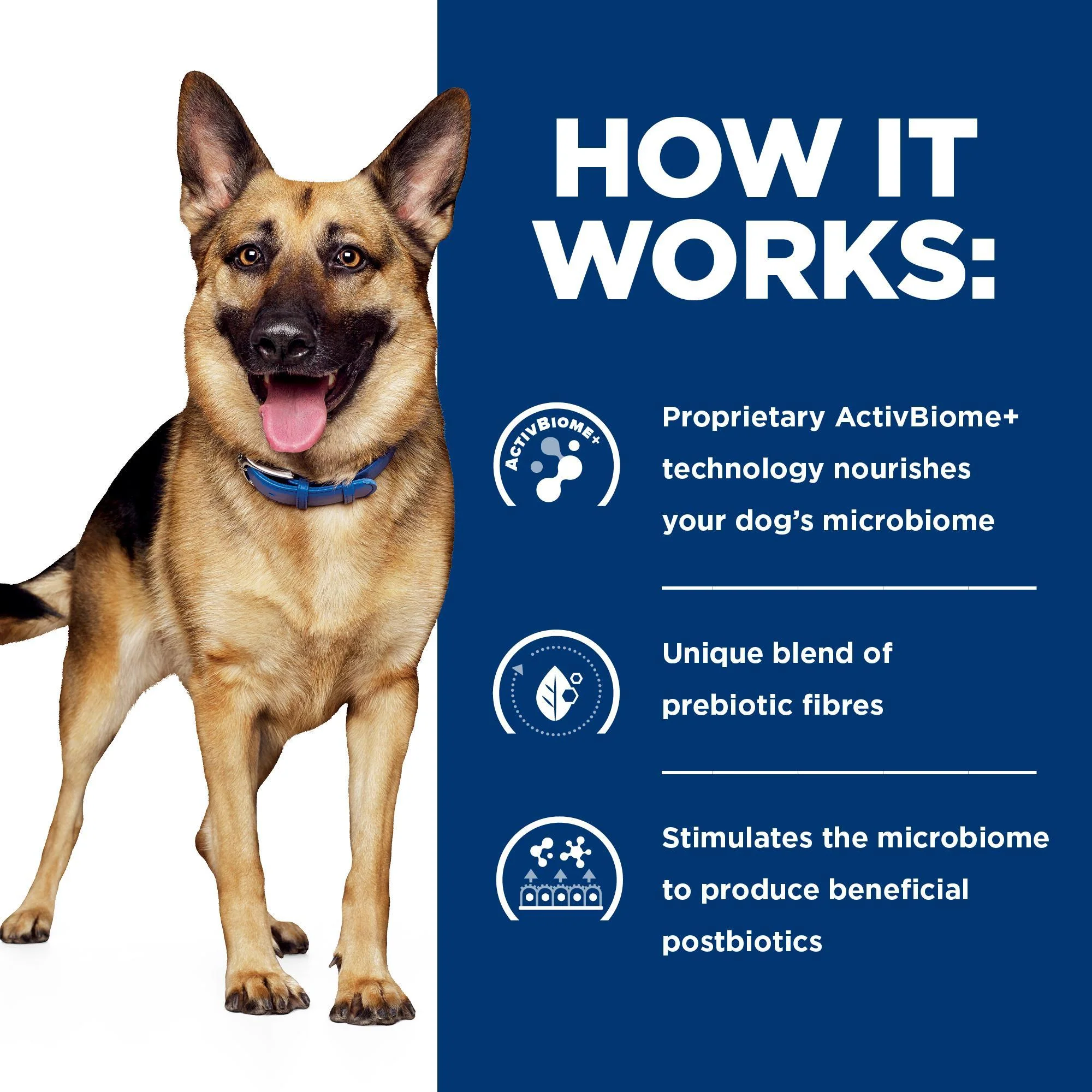 Hill's Prescription Diet Gastrointestinal Biome Digestive Fibre Care Canned Dog Food - Image 4