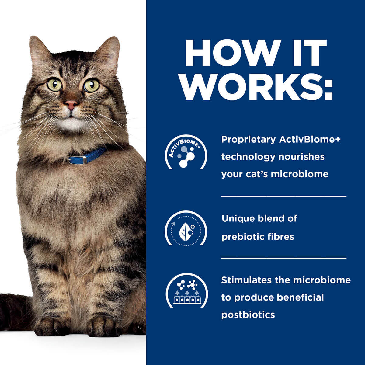 Hill's Prescription Diet Gastrointestinal Biome Care Chicken & Vegetable Wet Cat Food - Image 11