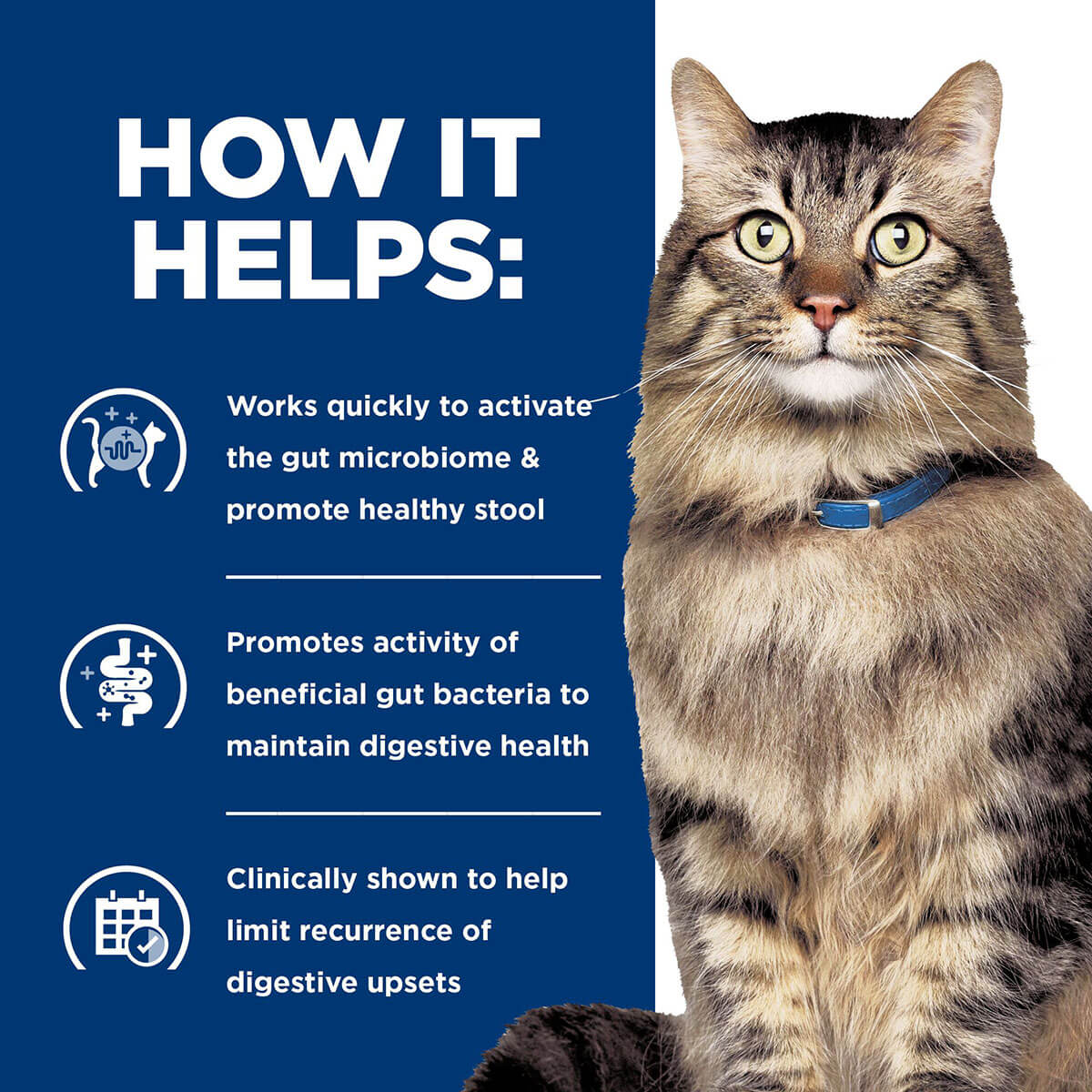 Hill's Prescription Diet Gastrointestinal Biome Care Chicken & Vegetable Wet Cat Food - Image 13