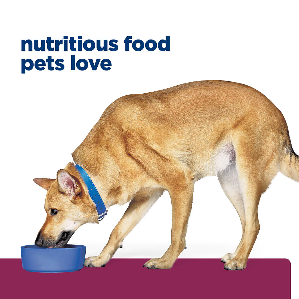 Hill's Prescription Diet I/D Digestive Care Chicken & Vegetable Stew Wet Dog Food - Image 29