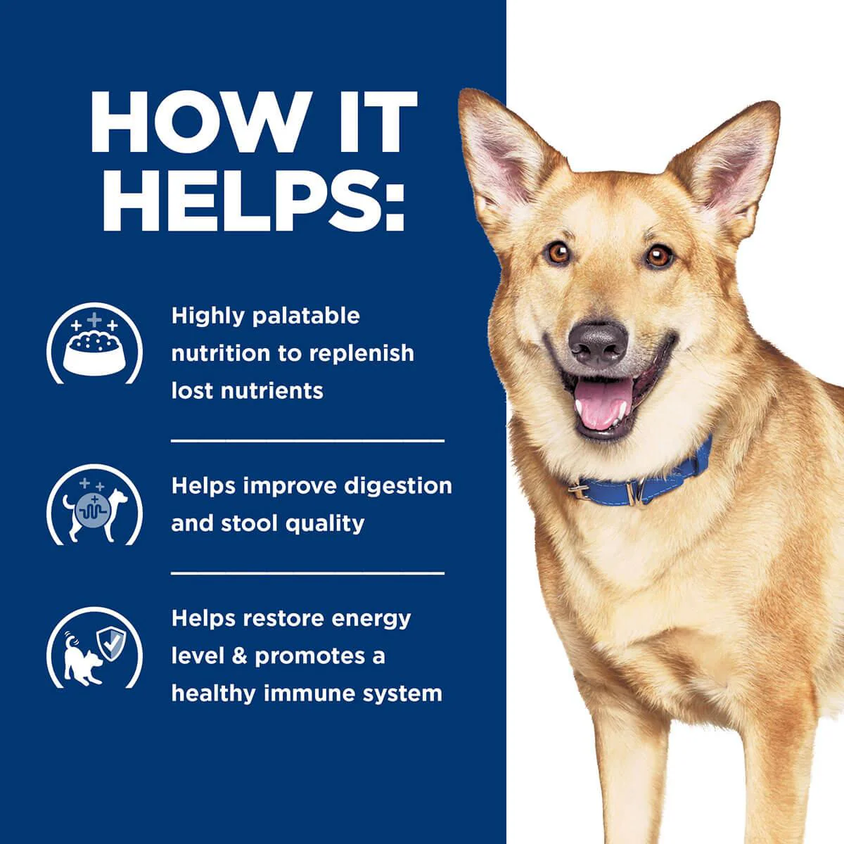 Hill's Prescription Diet I/D Digestive Care Chicken & Vegetable Stew Wet Dog Food - Image 7