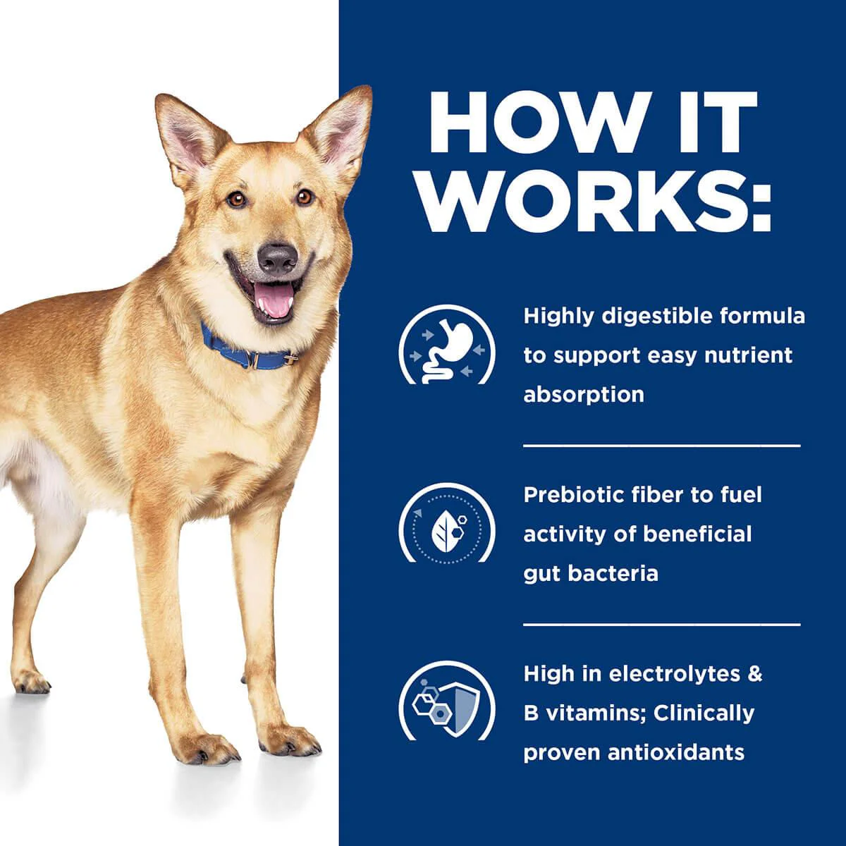 Hill's Prescription Diet I/D Digestive Care Chicken & Vegetable Stew Wet Dog Food - Image 8