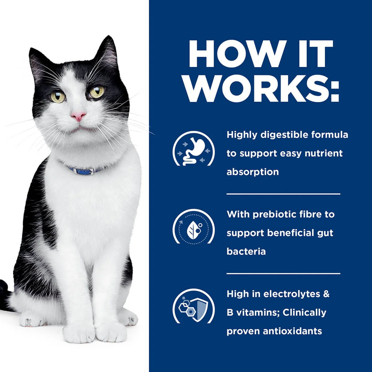 Hill's Prescription Diet I/D Digestive Care Dry Cat Food - Image 8