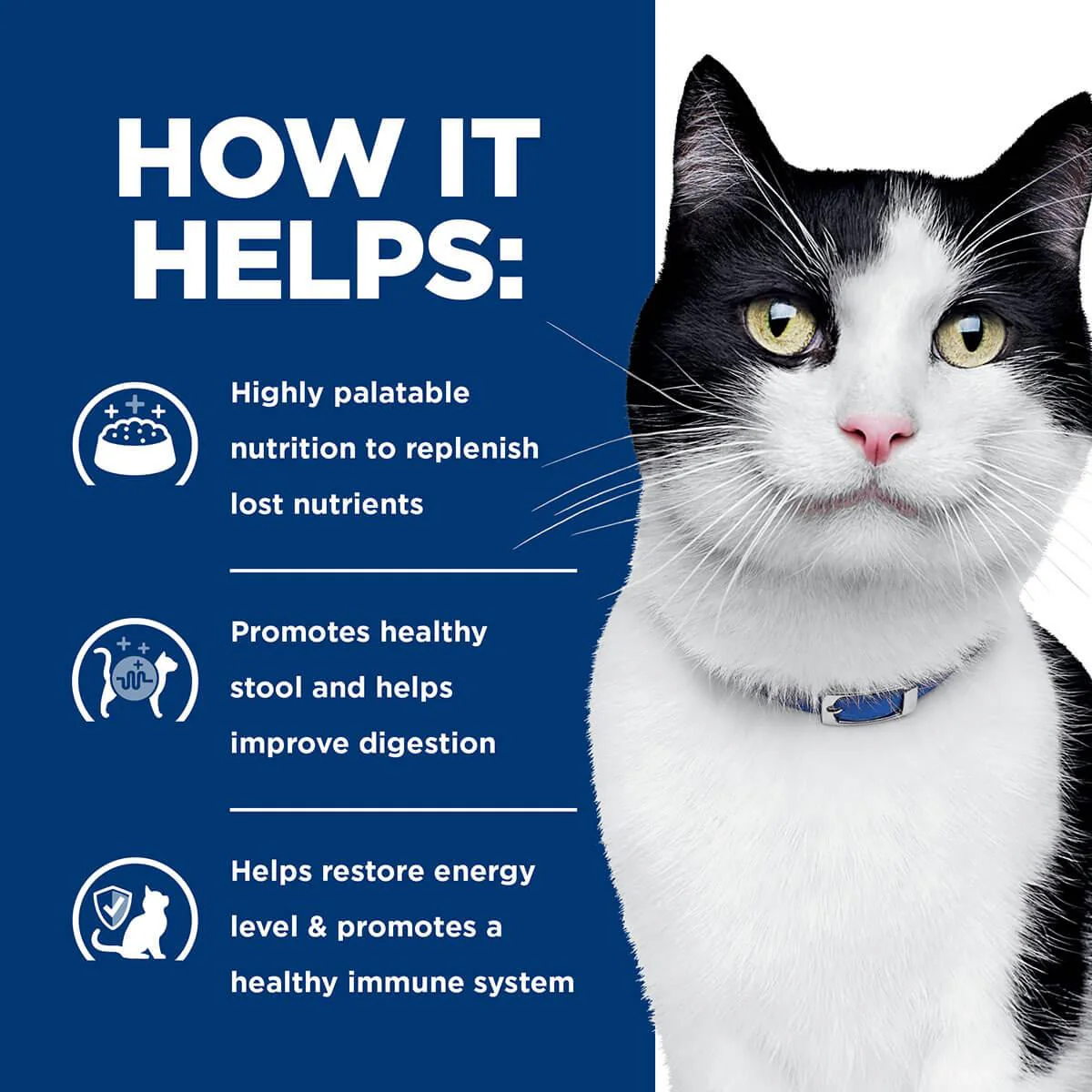 Hill's Prescription Diet I/D Digestive Care Chicken & Vegetable Stew Wet Cat Food - Image 11