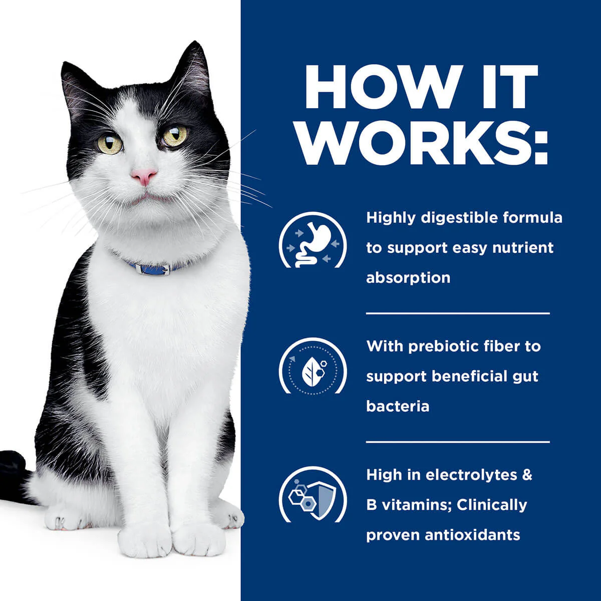 Hill's Prescription Diet I/D Digestive Care Chicken & Vegetable Stew Wet Cat Food - Image 12
