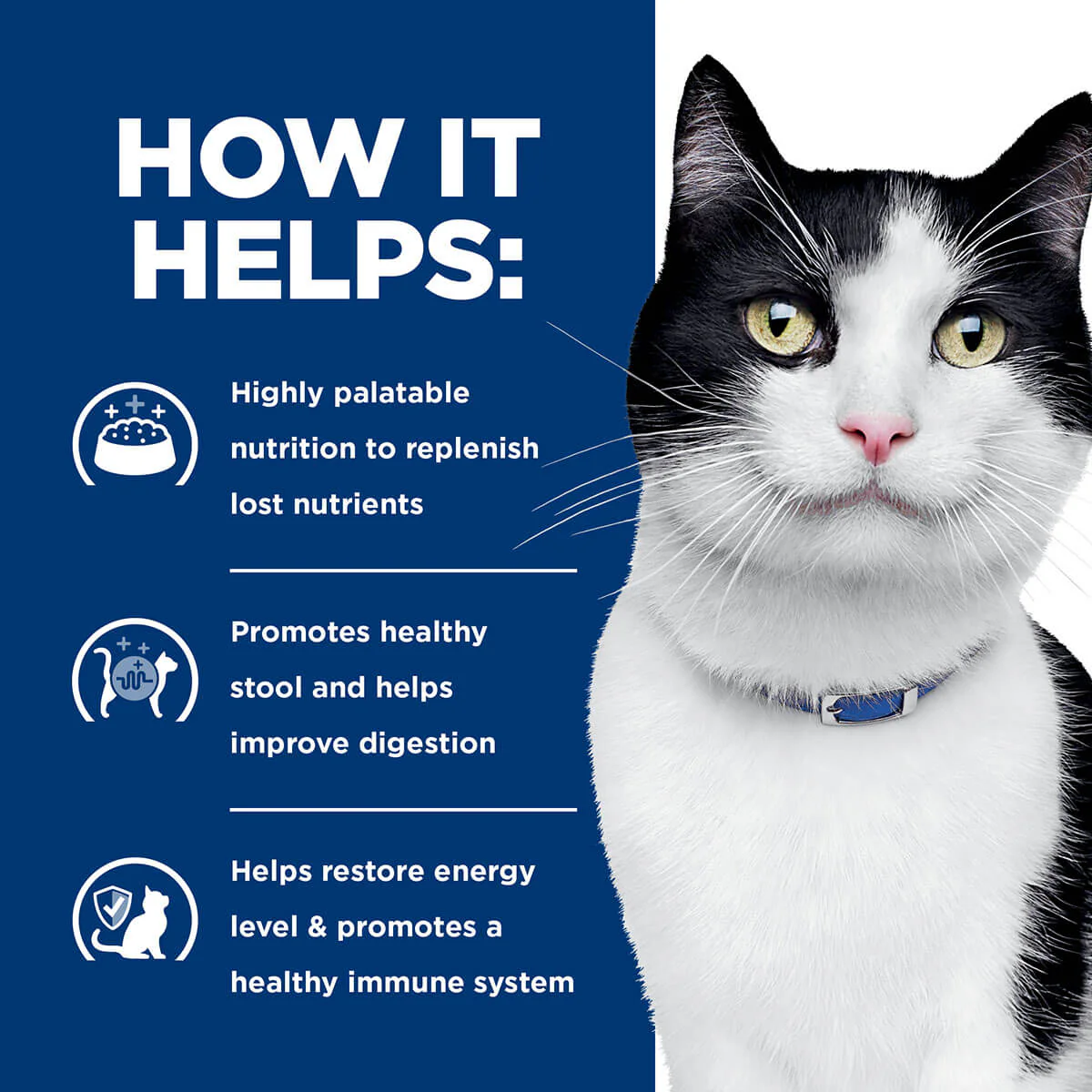 Hill's Prescription Diet I/D Digestive Care Chicken & Vegetable Stew Wet Cat Food - Image 14