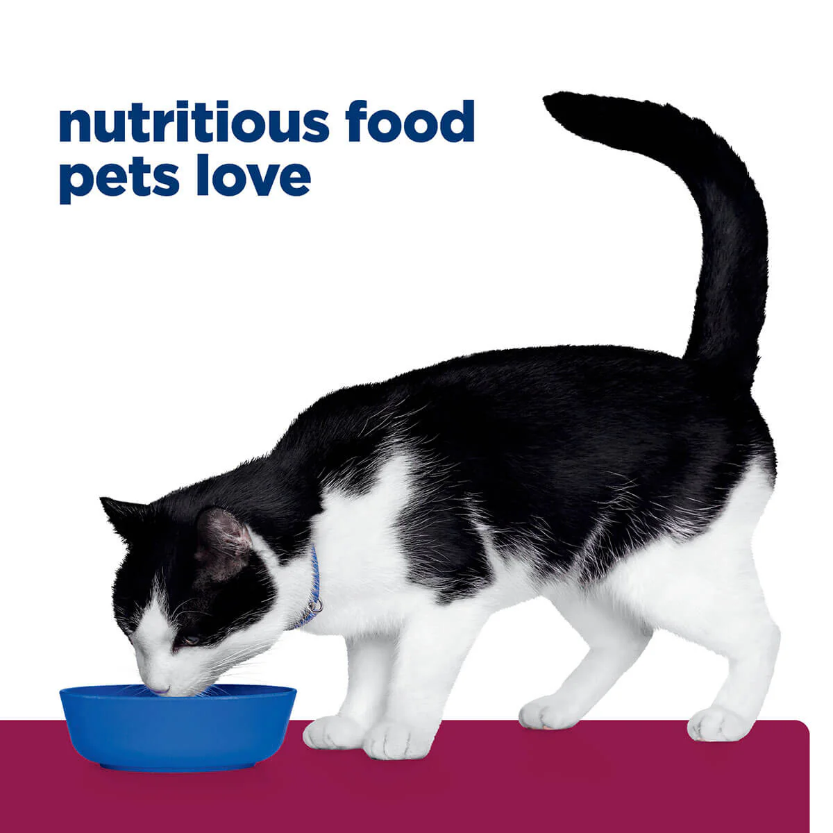 Hill's Prescription Diet I/D Digestive Care Chicken & Vegetable Stew Wet Cat Food - Image 23