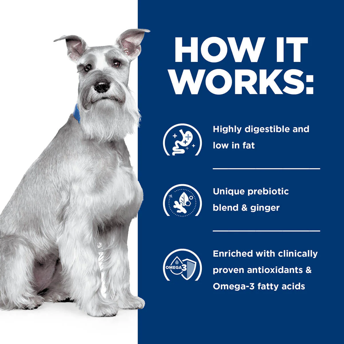 Hill's Prescription Diet I/D Digestive Care Low Fat Dry Dog Food - Image 18