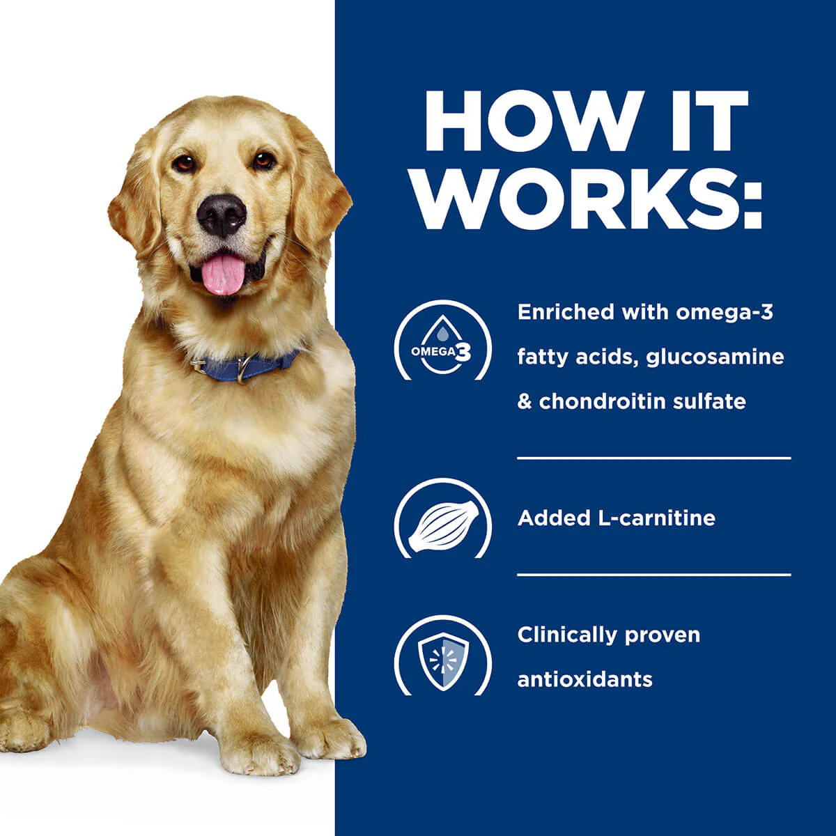 Hill's Prescription Diet J/D Mobility Care Dry Dog Food - Image 19