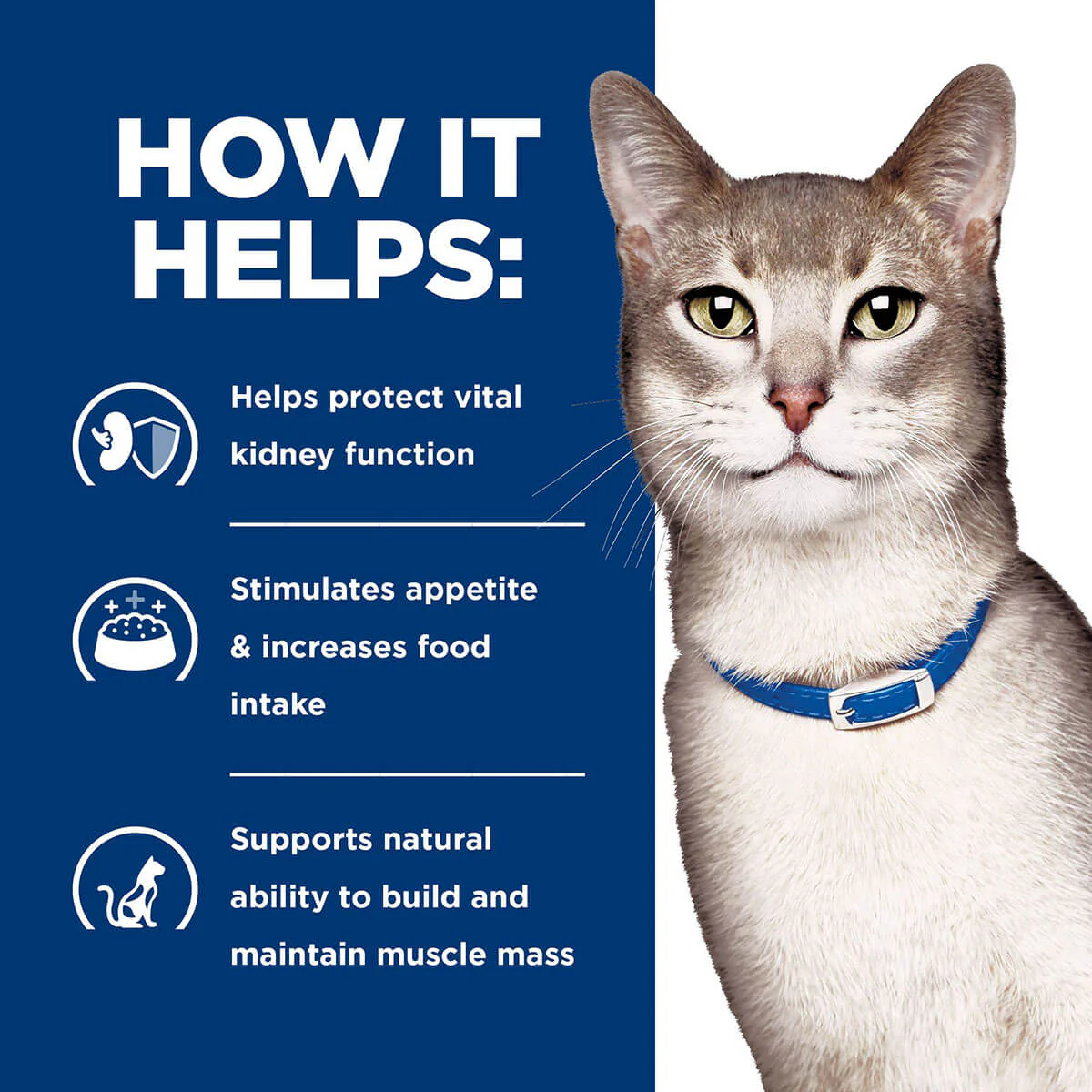 Hill's Prescription Diet K/D Kidney Care Chicken & Vegetable Stew Wet Cat Food - Image 13