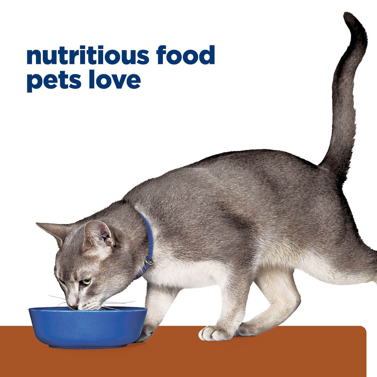 Hill's Prescription Diet K/D Kidney Care Chicken & Vegetable Stew Wet Cat Food - Image 27