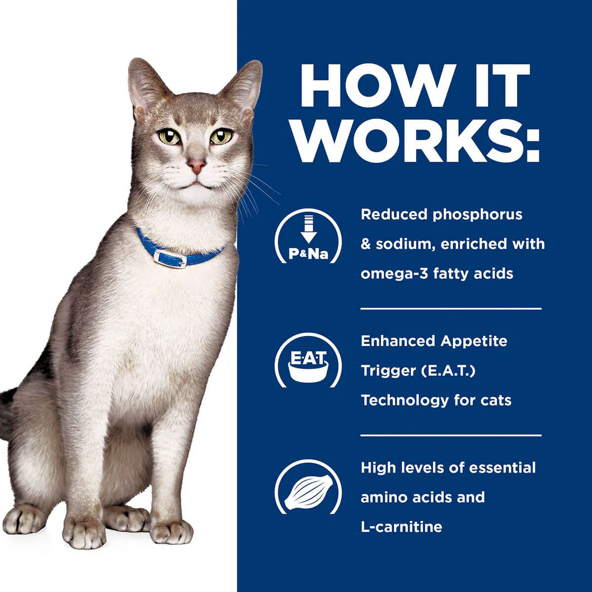 Hill's Prescription Diet K/D Kidney Care Dry Cat Food - Image 16