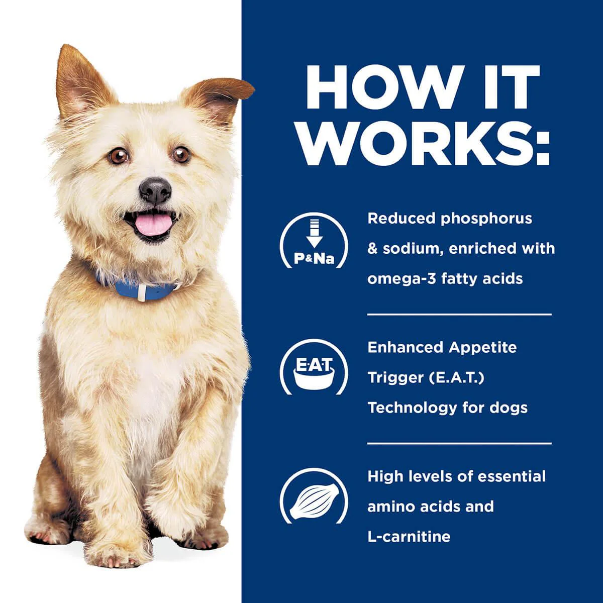 Hill's Prescription Diet K/D Kidney Care Dry Dog Food - Image 20