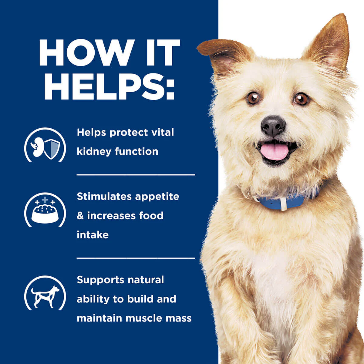 Hill's Prescription Diet K/D Kidney Care Dry Dog Food - Image 22