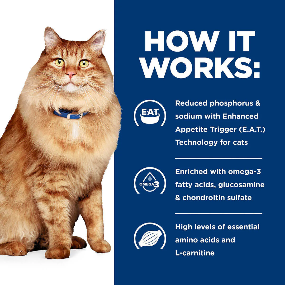 Hill's Prescription Diet K/D + J/D Kidney & Mobility Dry Cat Food - Image 8