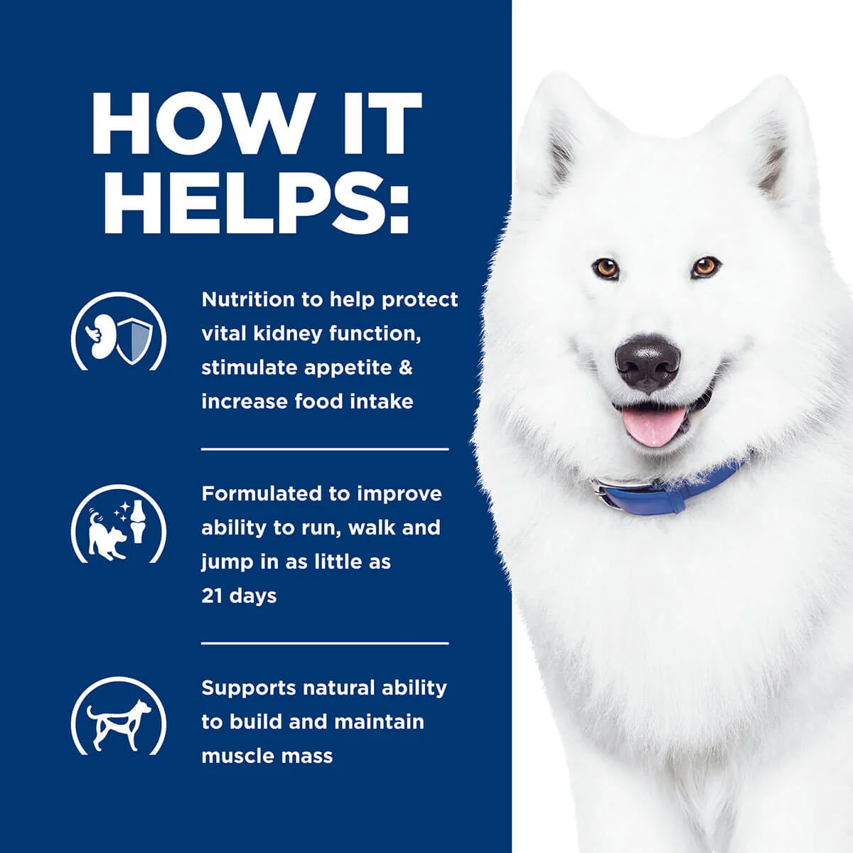 Hill's Prescription Diet K/D + J/D Kidney & Mobility Care Dry Dog Food - Image 15
