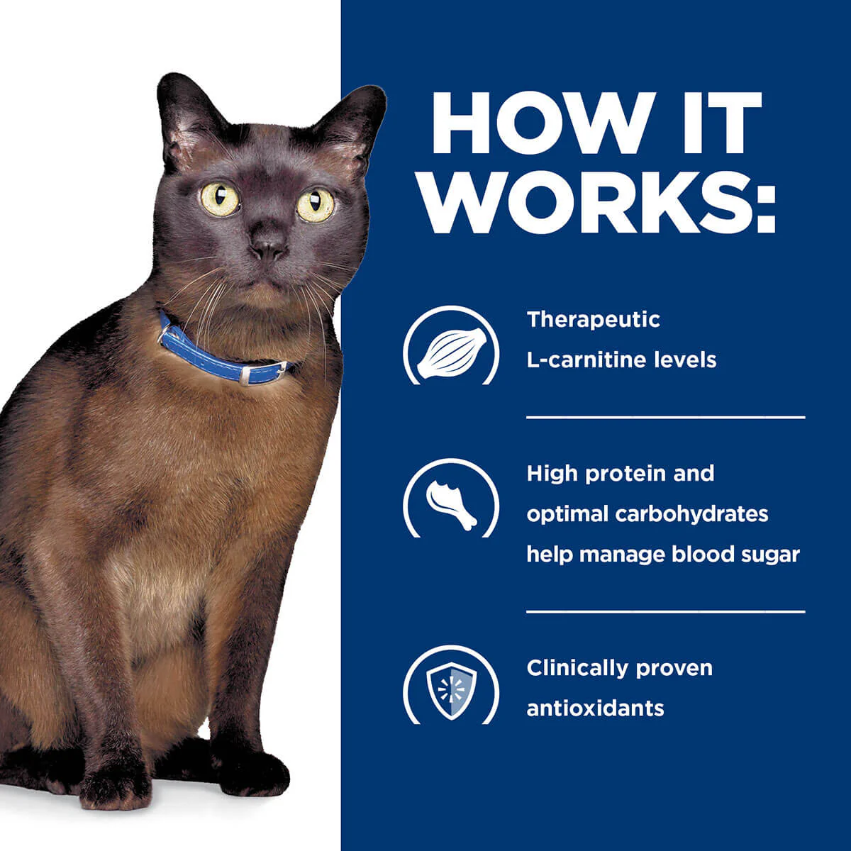 Hill's Prescription Diet M/D GlucoSupport Liver Wet Cat Food - Image 6