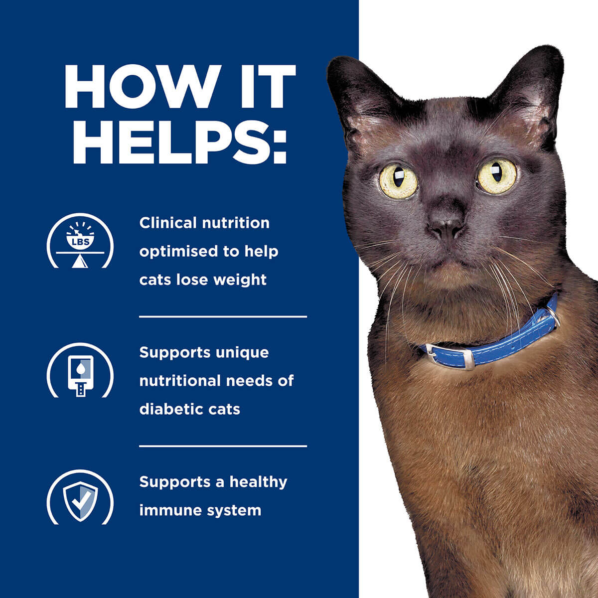 Hill's Prescription Diet M/D GlucoSupport Liver Wet Cat Food - Image 7
