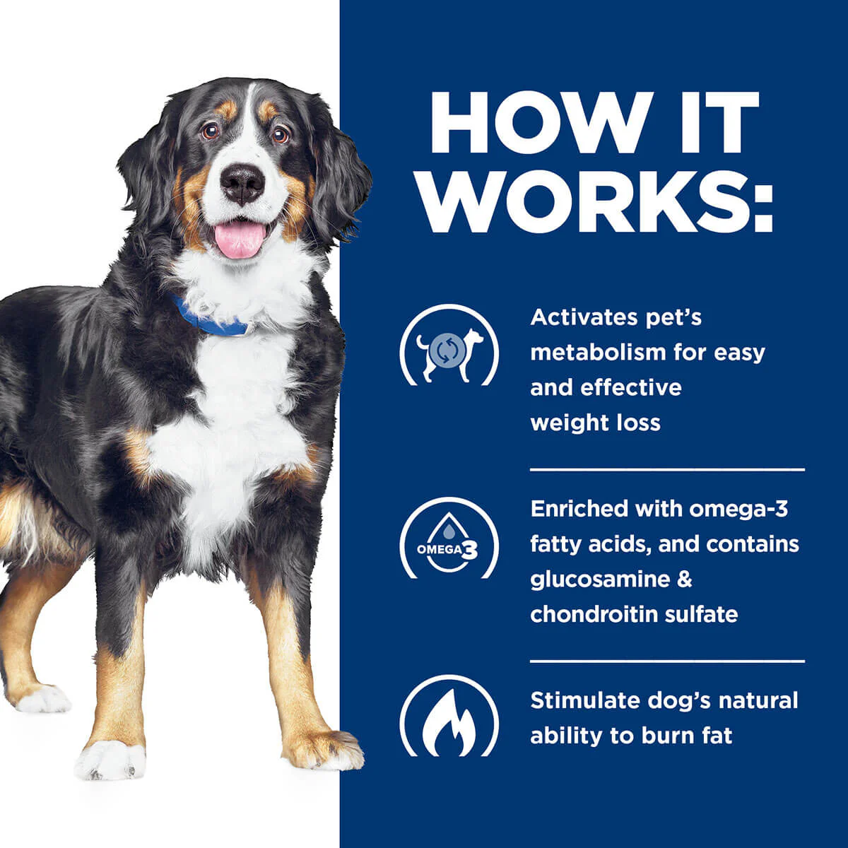Hill's Prescription Diet J/D Metabolic Weight & Mobility Care Dry Dog Food - Image 19