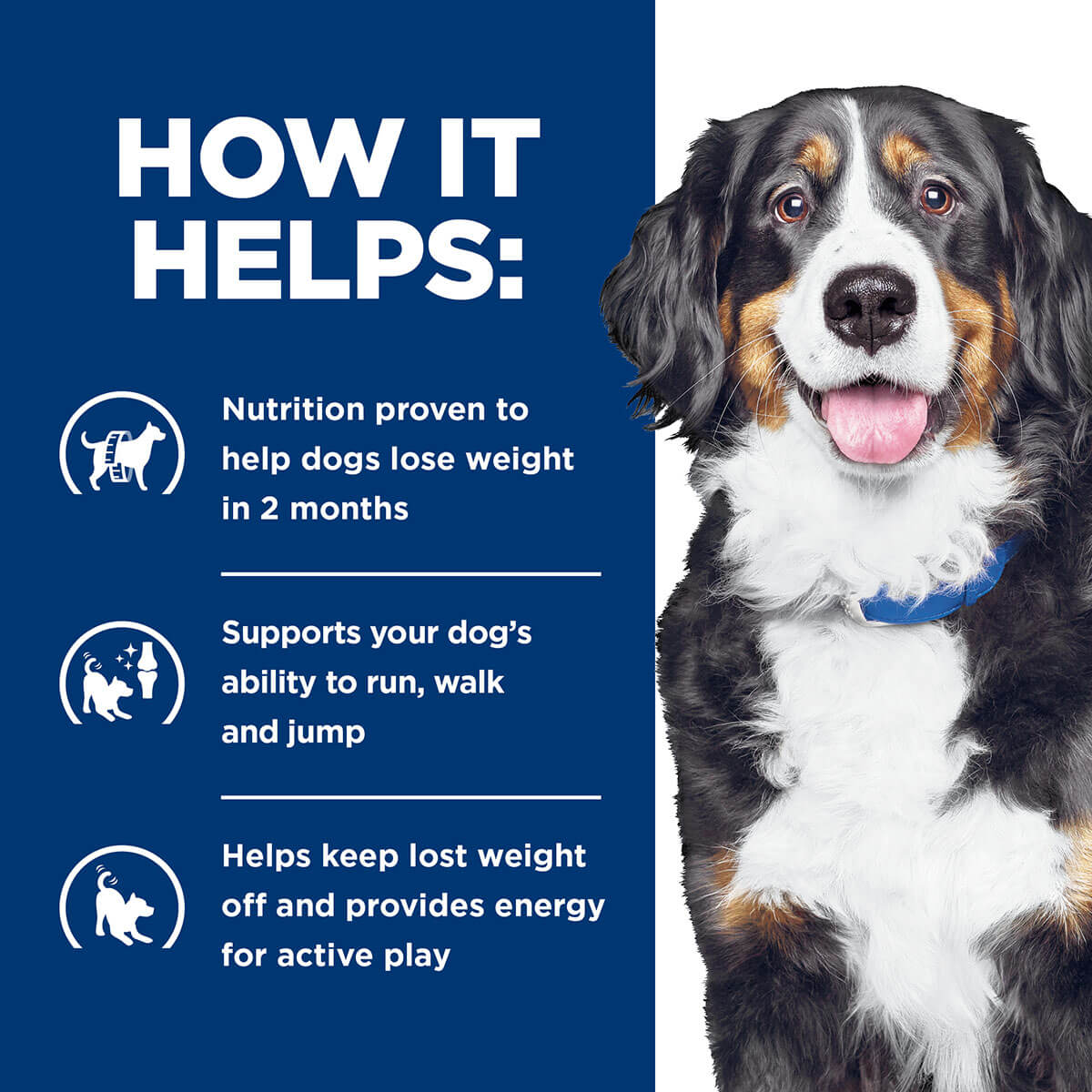 Hill's Prescription Diet J/D Metabolic Weight & Mobility Care Dry Dog Food - Image 22