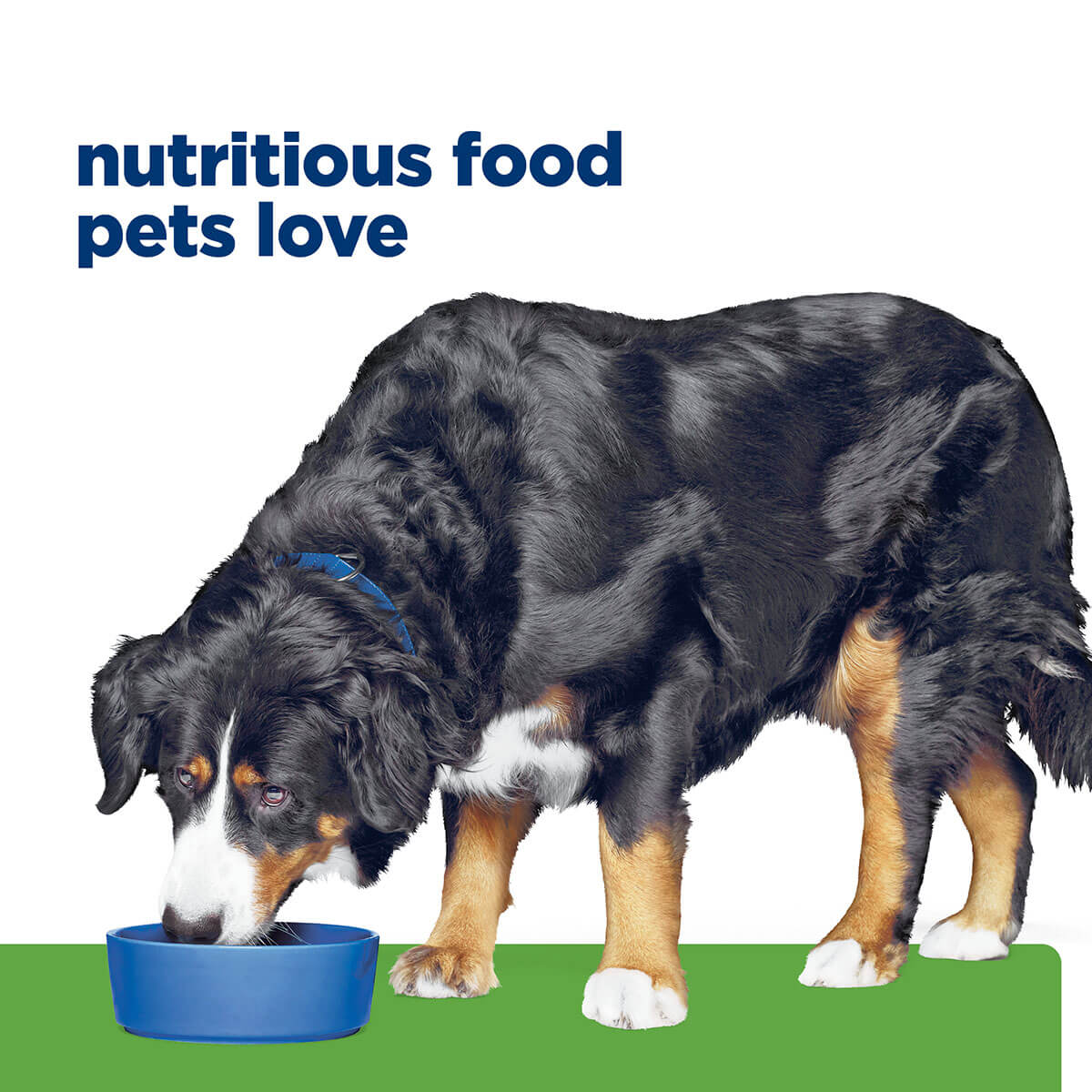 Hill's Prescription Diet J/D Metabolic Weight & Mobility Care Dry Dog Food - Image 46