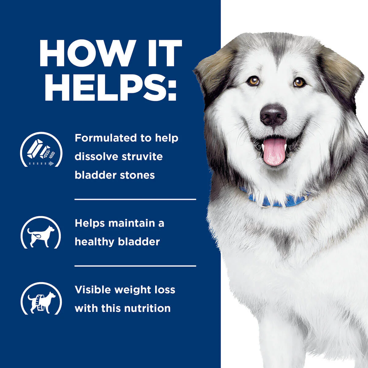 Hill's Prescription Diet C/D Urinary & Metabolic Weight Care Dry Dog Food - Image 11