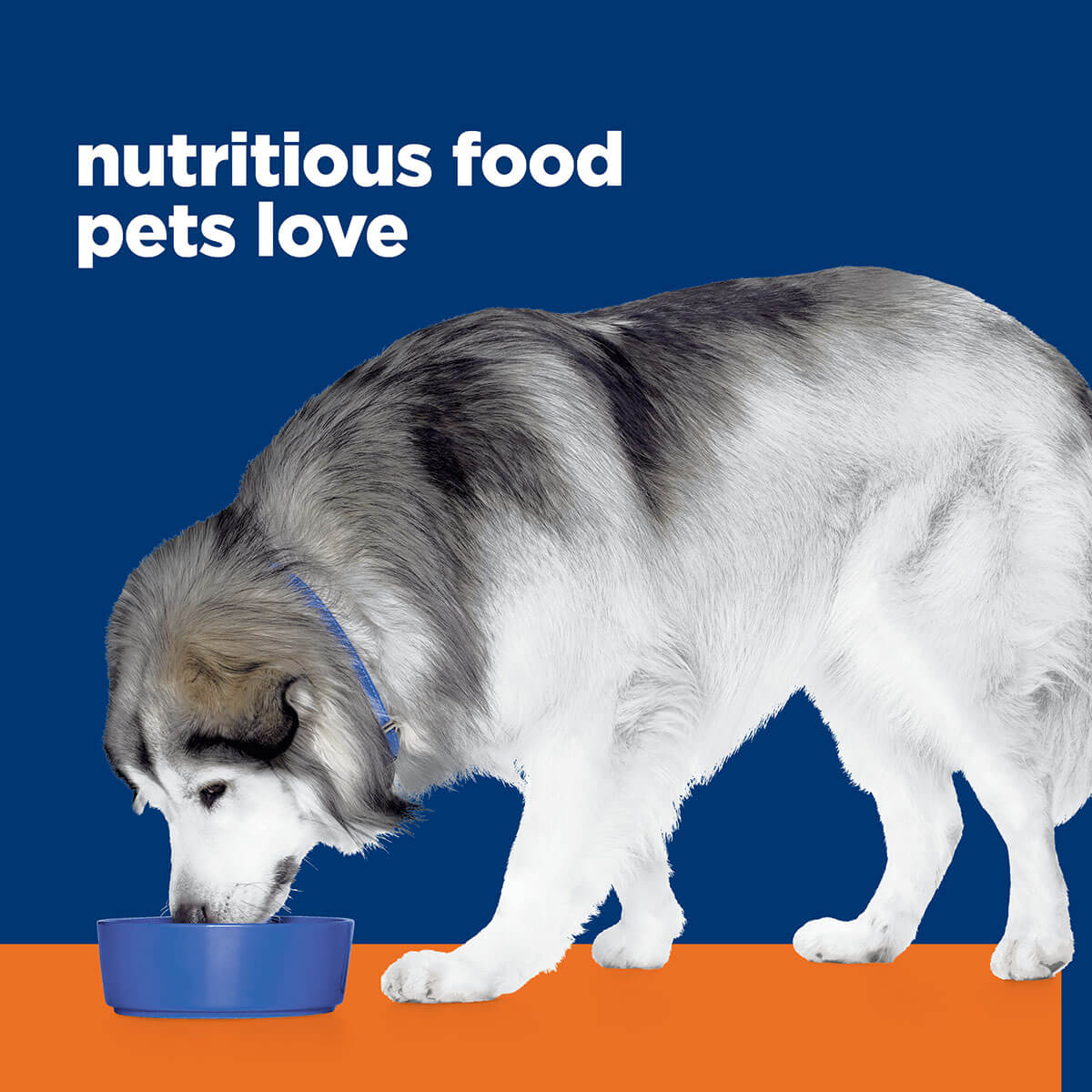 Hill's Prescription Diet C/D Urinary & Metabolic Weight Care Dry Dog Food - Image 19