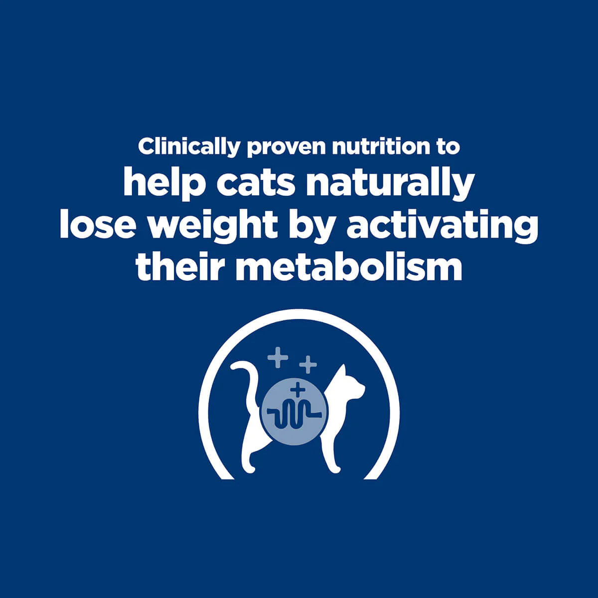 Hill's Prescription Diet Metabolic Weight Management Dry Cat Food - Image 16